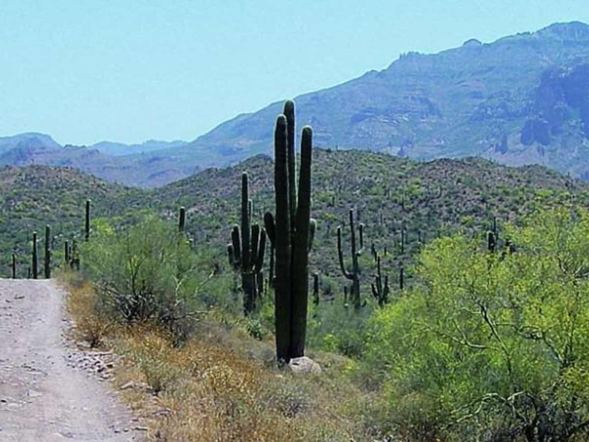 Bulldog Canyon photo 3
