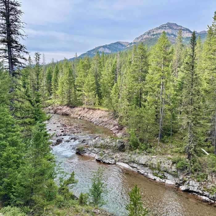 Near Continental Divide Trail: Straight Creek Alternate