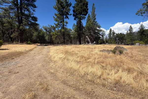 Howard Corral - FS 23N38