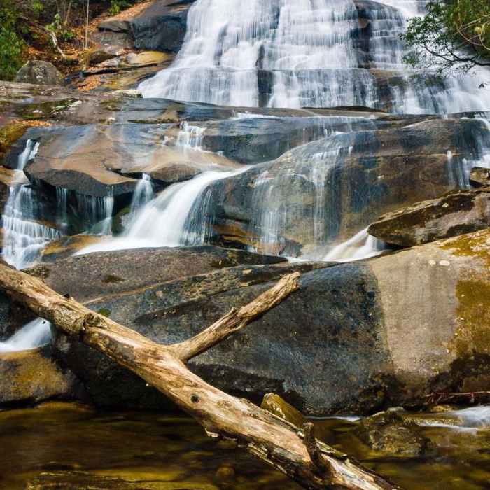 Near Cove Creek Trail #340