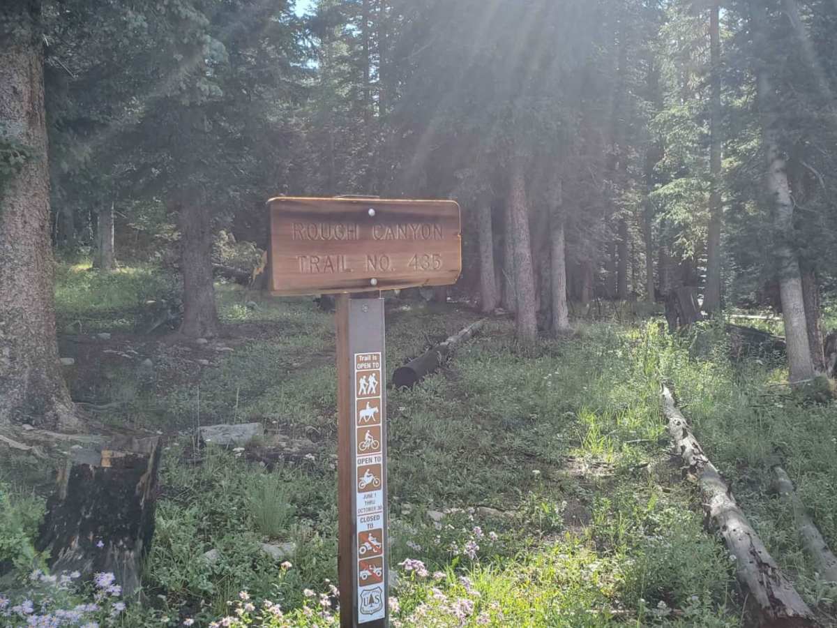 Rough Canyon trail photo