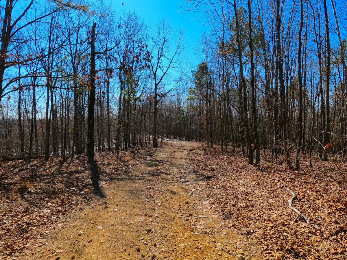 Bear Tick Ridge - FS 2459 photo 5