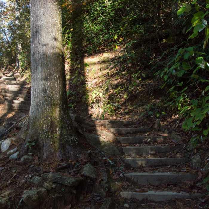 Near Rainbow Falls + Turtleback Falls Near Rainbow Falls + Turtleback Falls