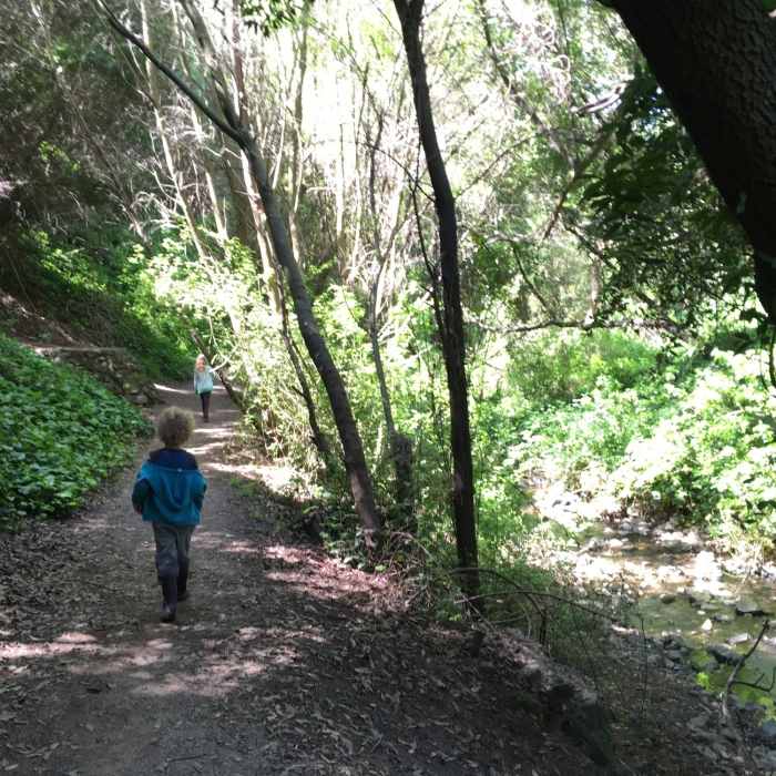Near Dimond Canyon Trail