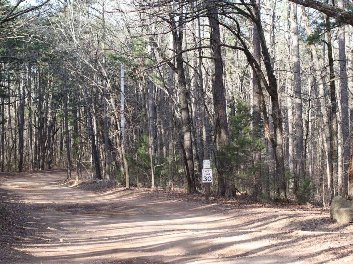 Lookout Road photo 2