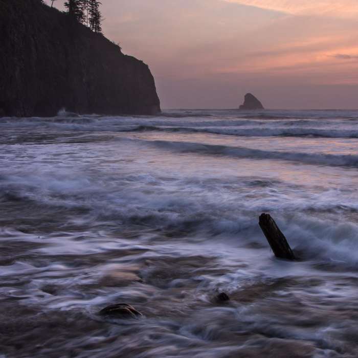 Near Cape Meares Big Spruce + Beach Trail