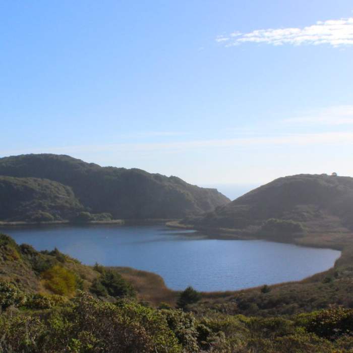 Near Palomarin to Alamere Falls Out and Back