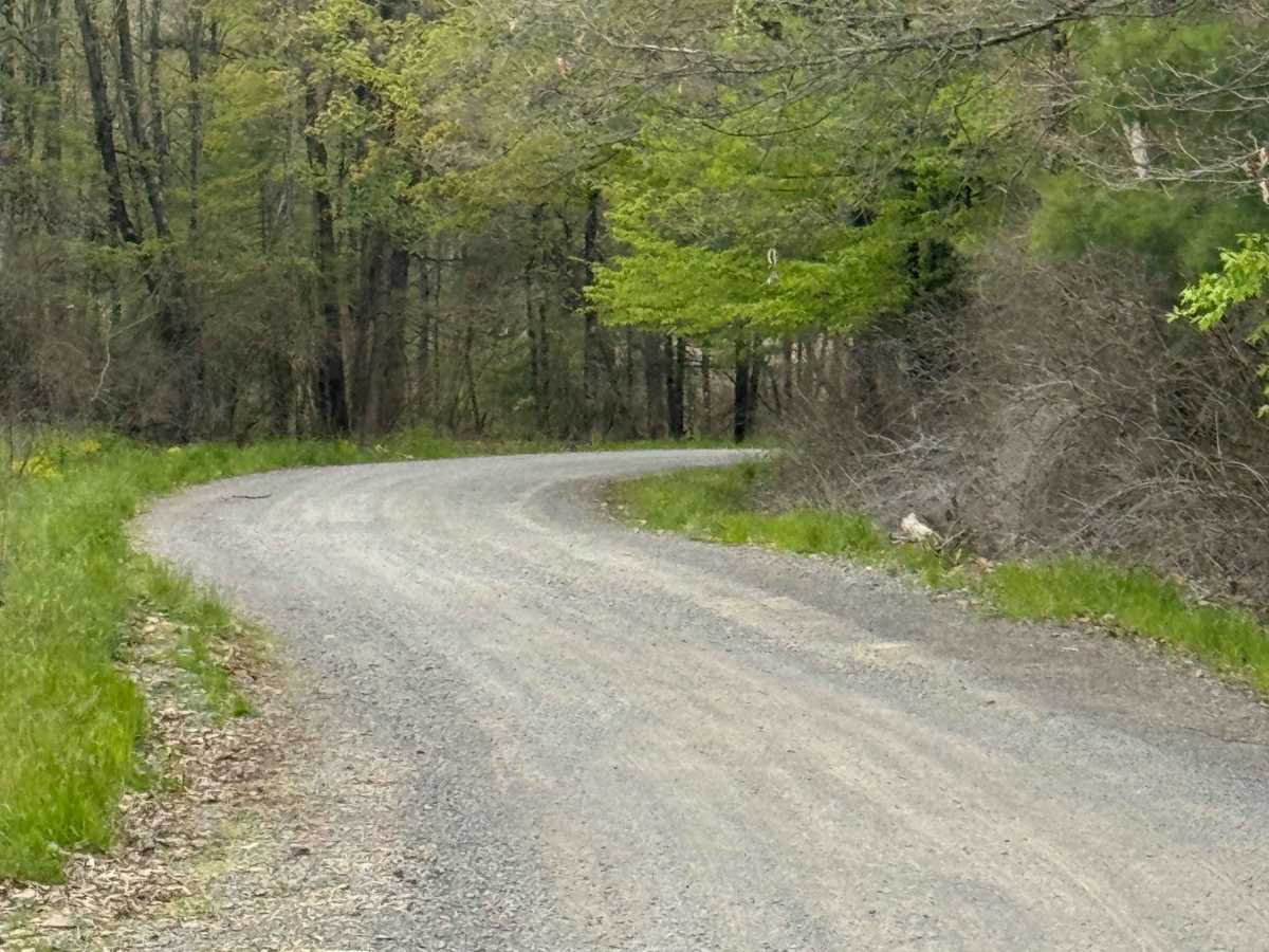 Devils Elbow Road photo 5