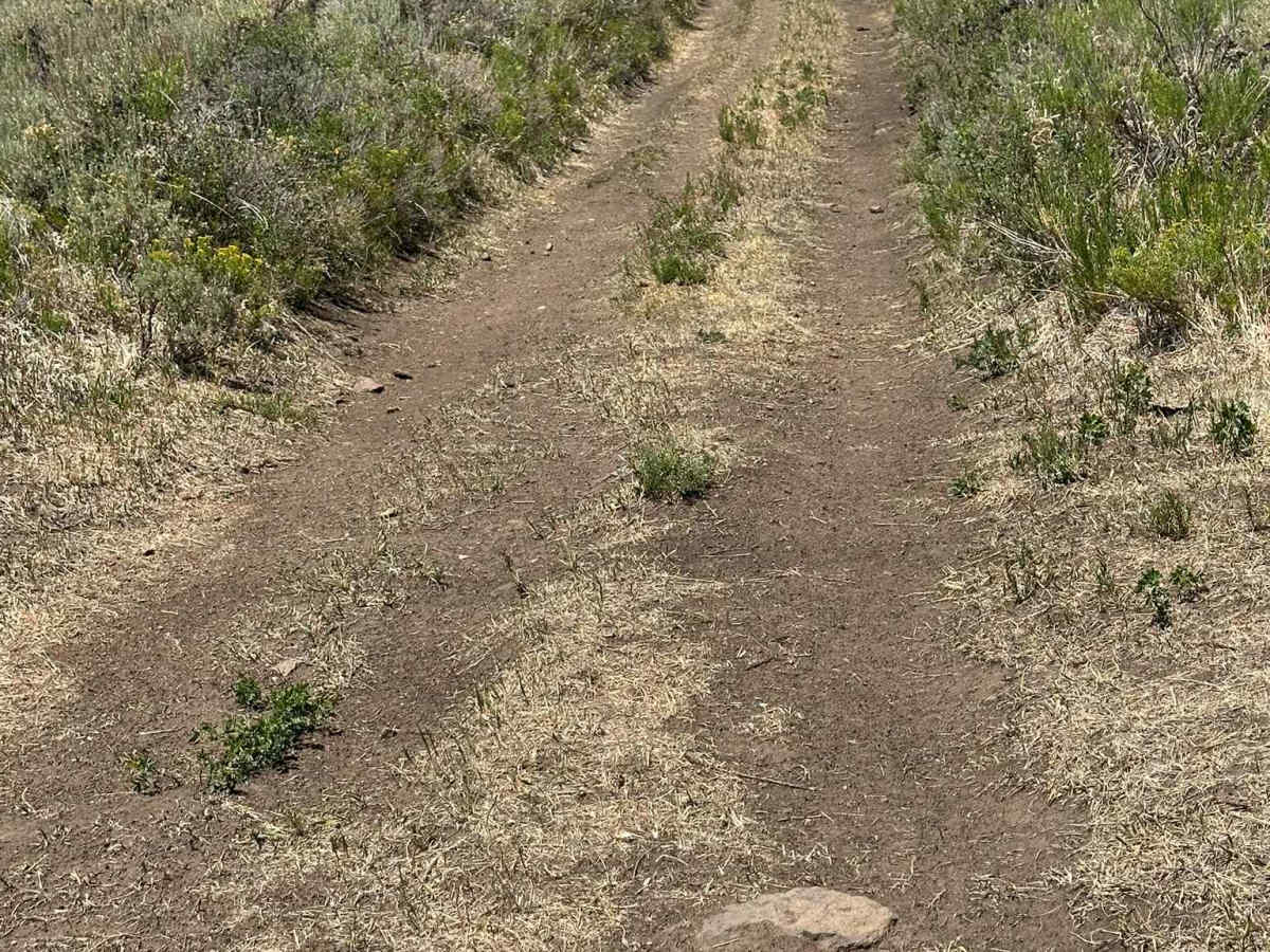 Jensen Creek Road photo 5