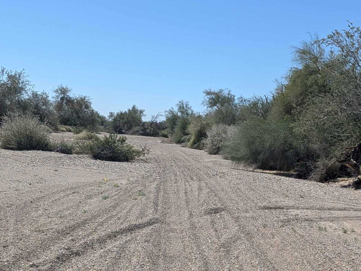 BLM 731 trail photo
