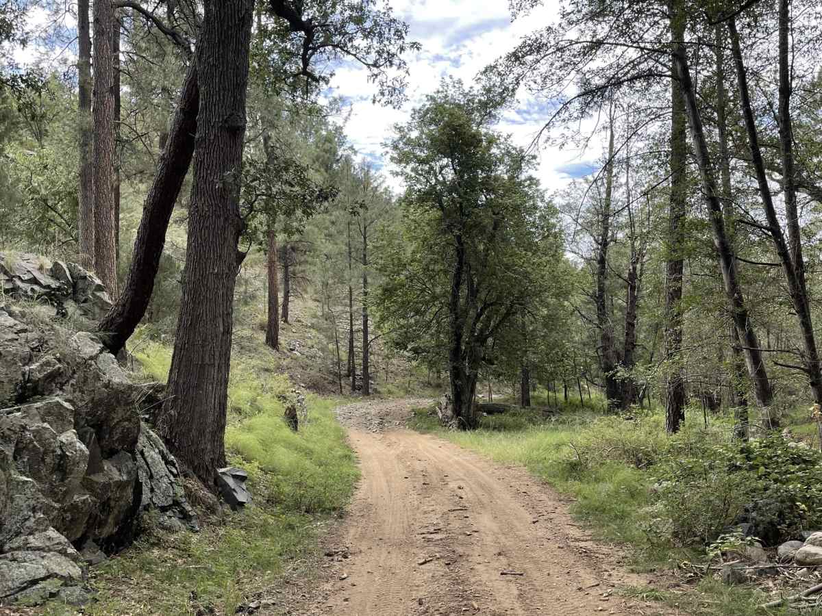 Upper Turkey Creek photo 5