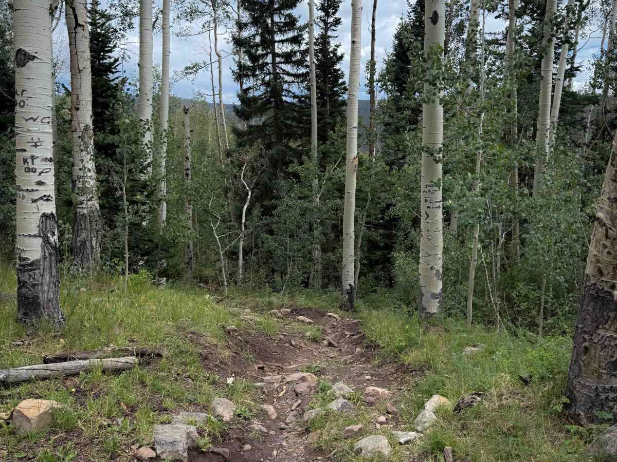 West Twin Springs - Trail 739  photo 2