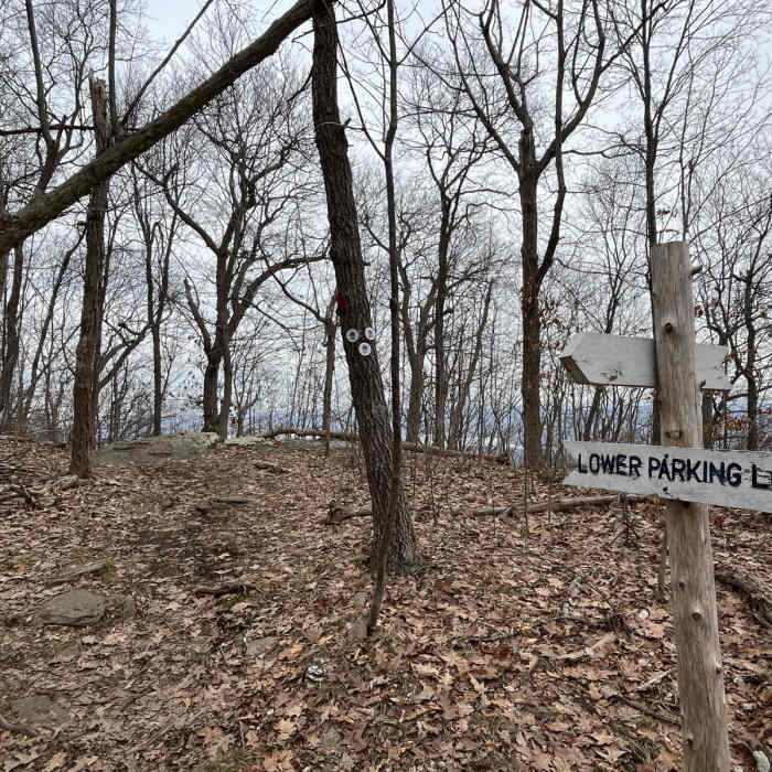 Near Louisa Pond Loop via White-Red-Blue Trails
