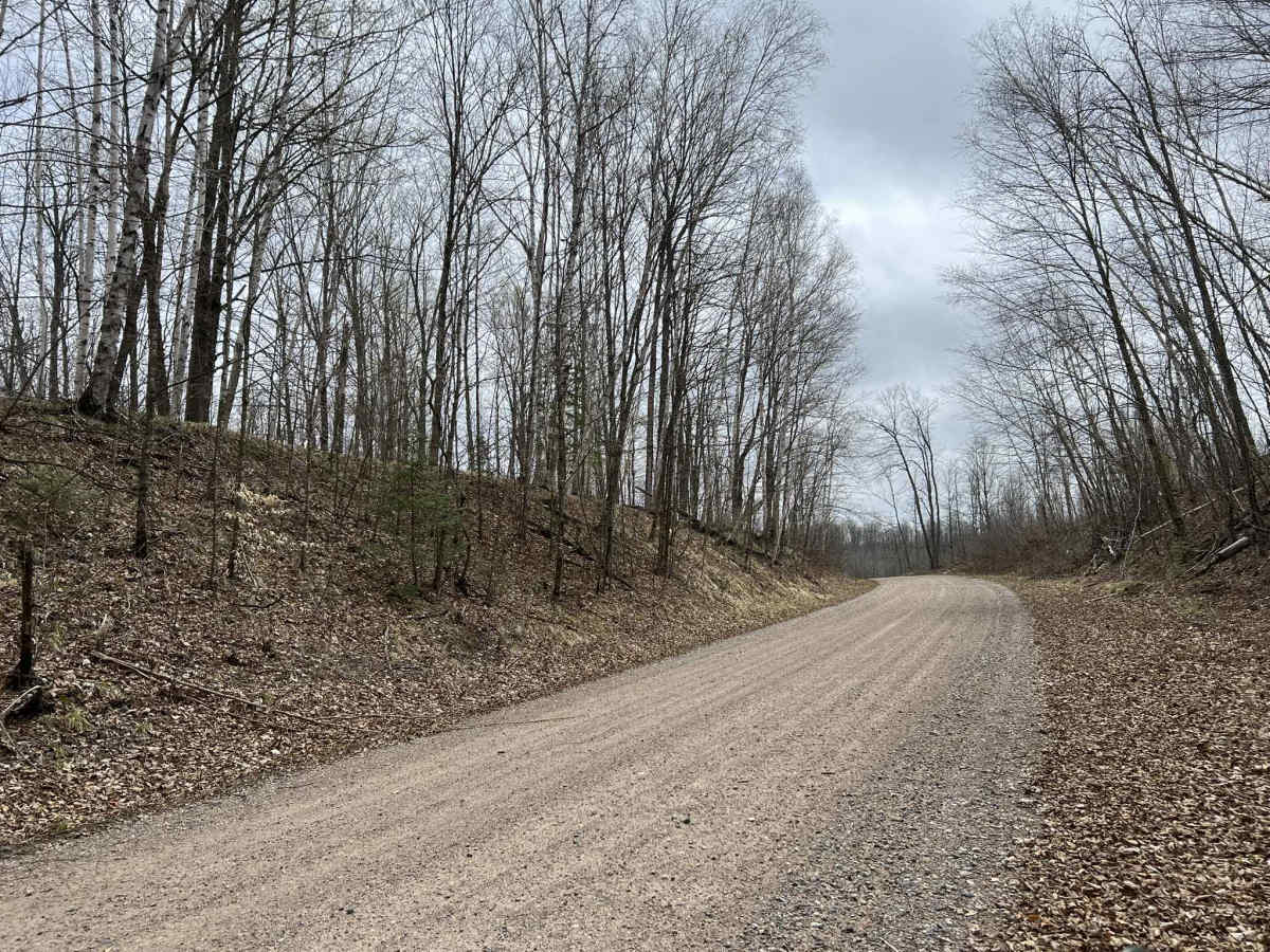 Saul Springs Road photo 2