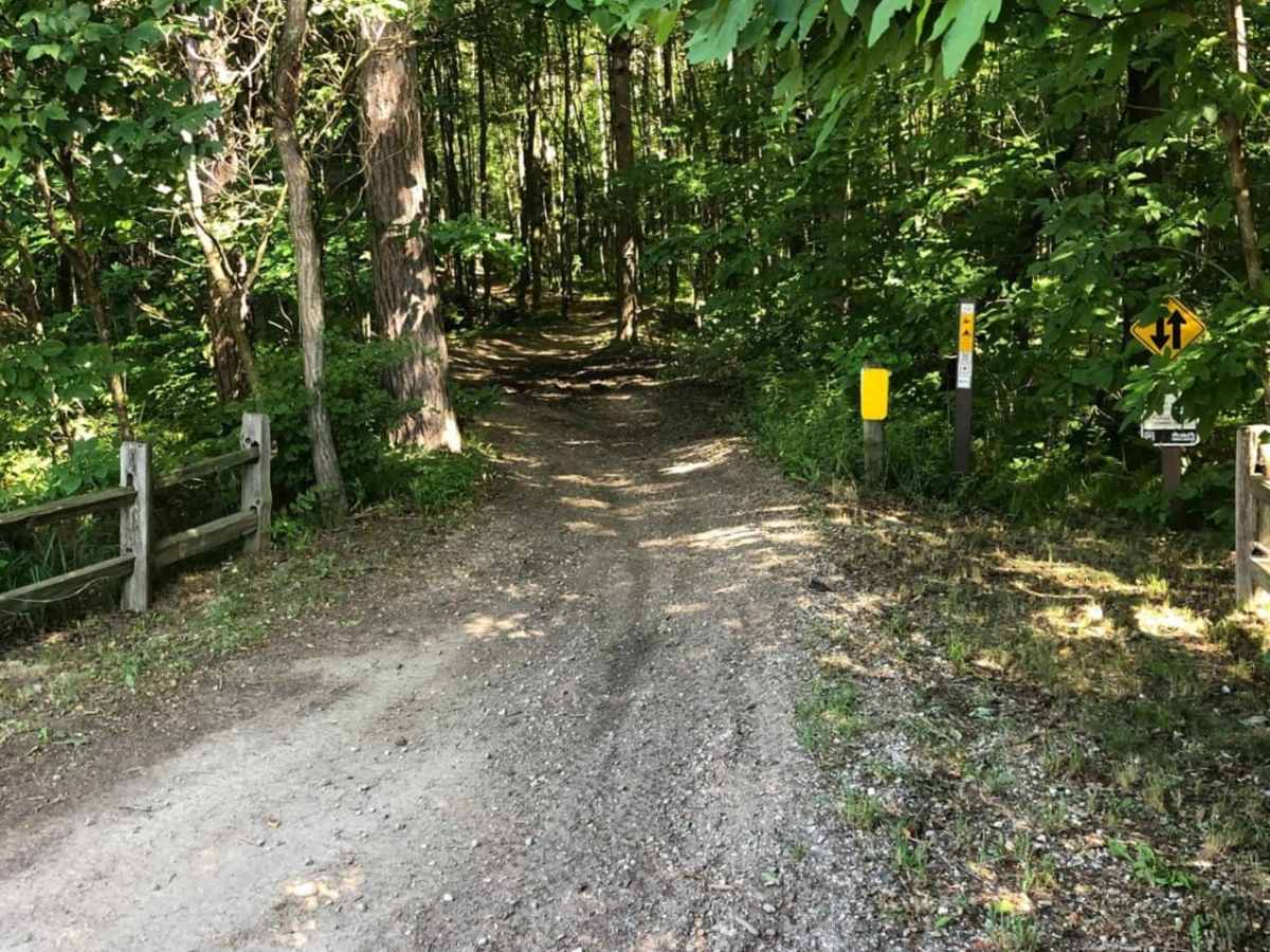 M-20 Motorsport Trail photo 3