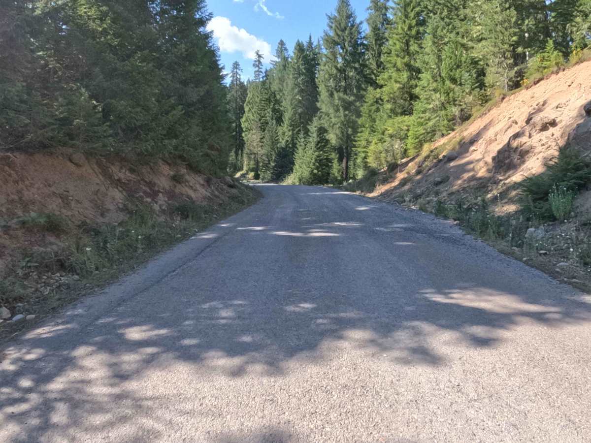 Parish Lake Road - FS 2266000 trail photo