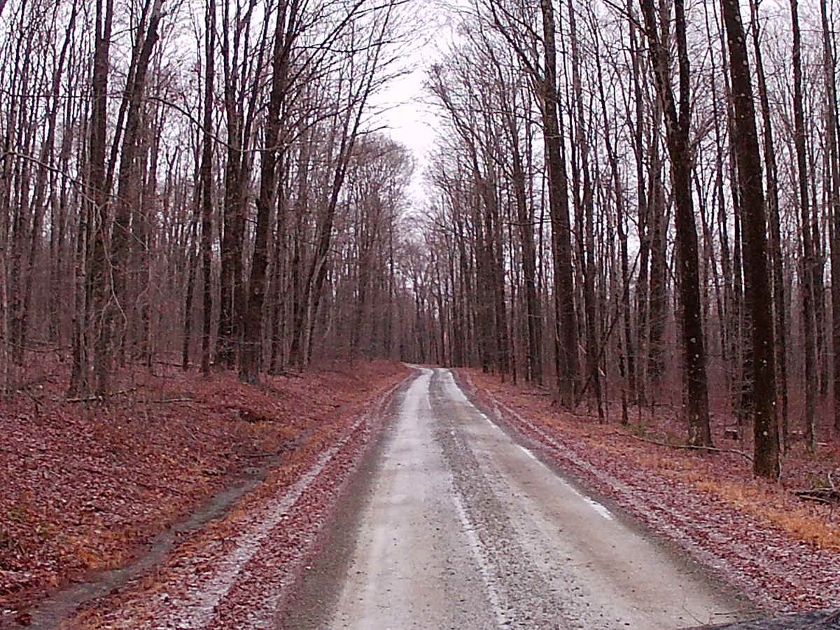 Cascade Road photo 4