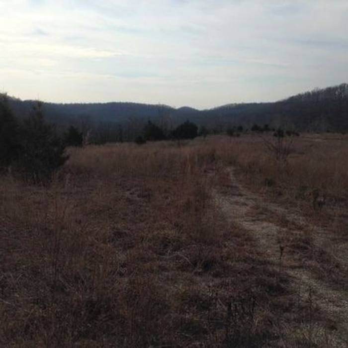 Near Cedar Gap Trail