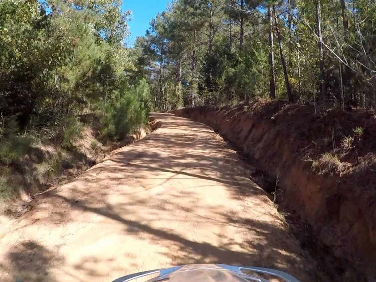 South Carolina Adventure Route Segment 4 photo 5