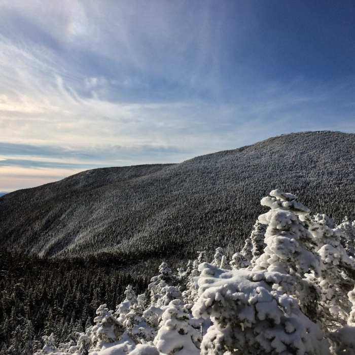 View of the Moosilauke summit from along the trail. Near Beaver Brook Out and Back