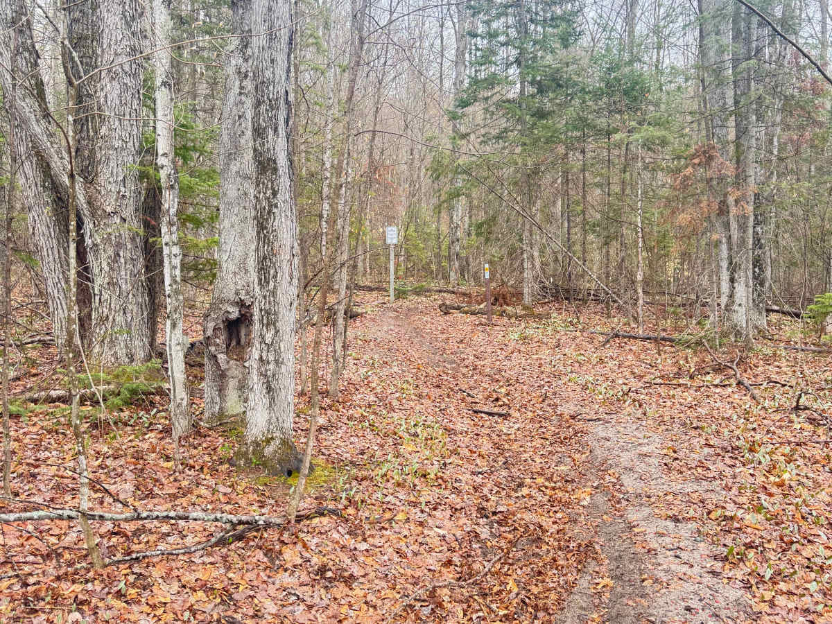 Tomahawk C loop Southeast Leg photo 2