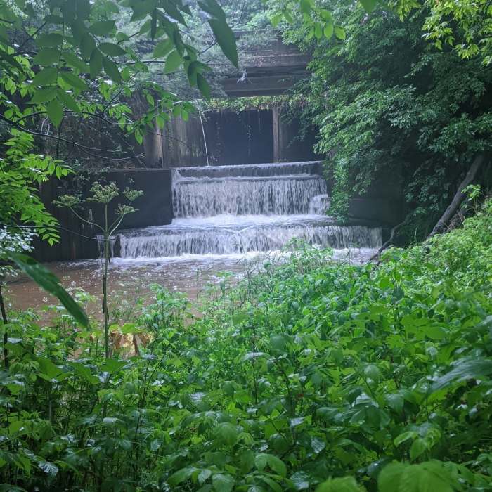 Near Foundation Trail