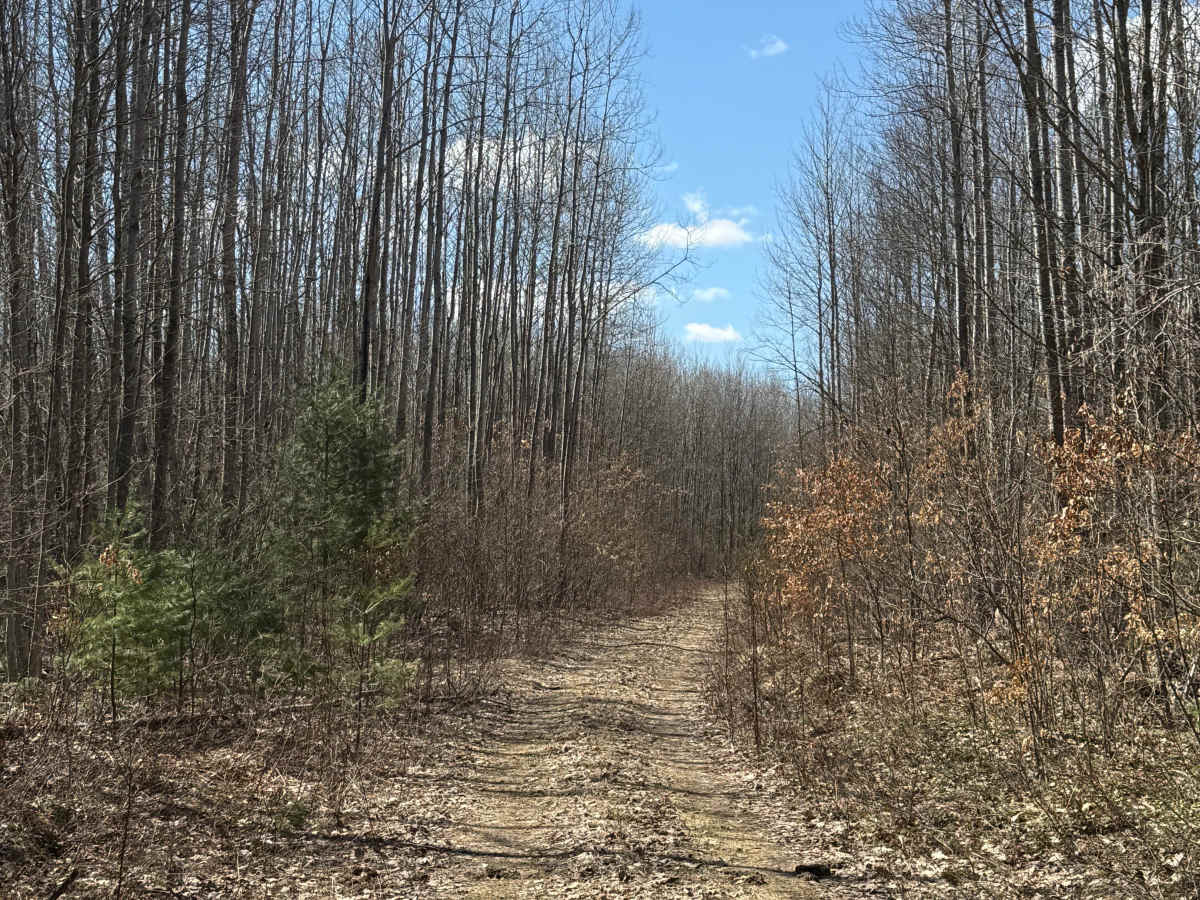 FS 8755 trail photo