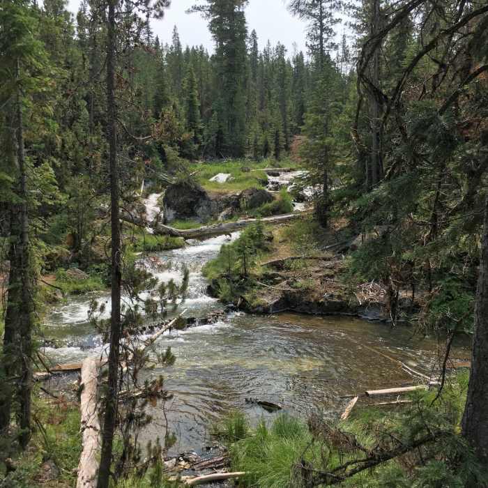 Near Paulina Lake Out and Back