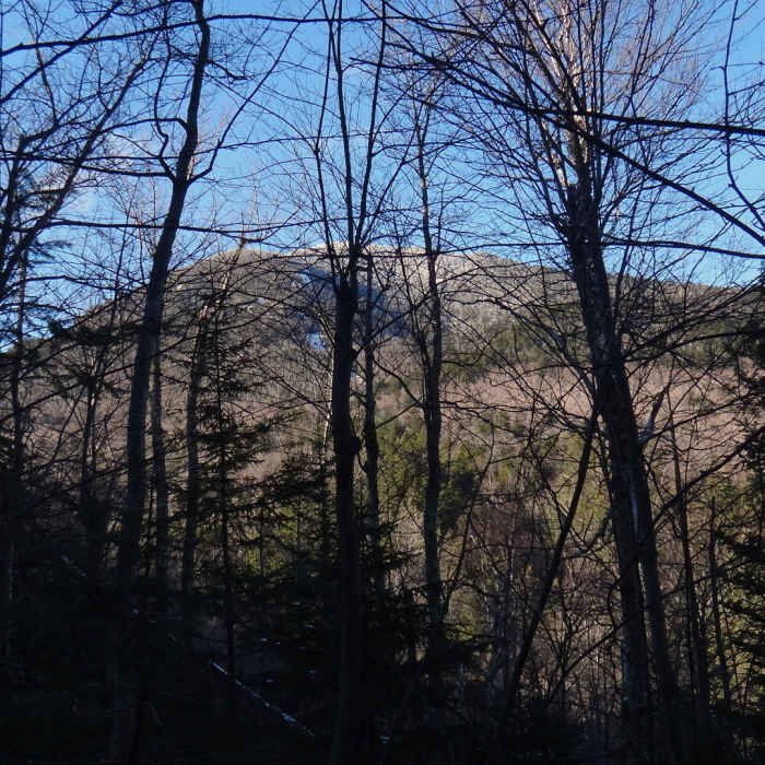 View of Mt. Passaconaway. Near Passaconaway Cutoff