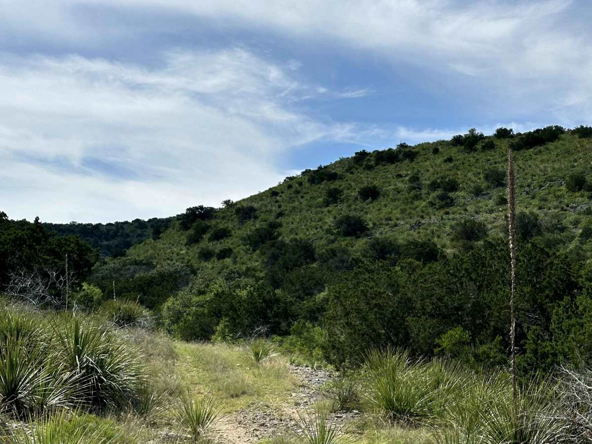 CATPAW Canyon photo 4