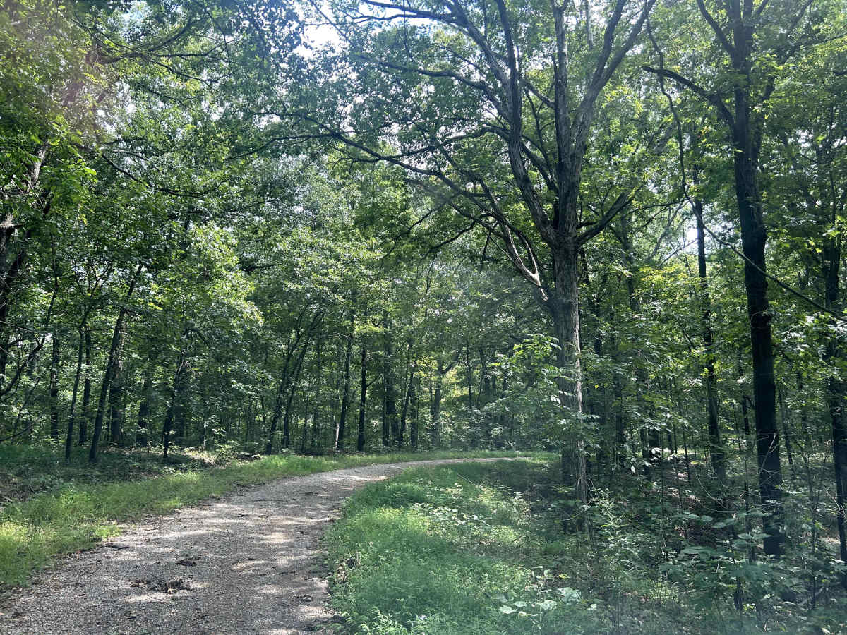 Richland Ridge Road photo 3