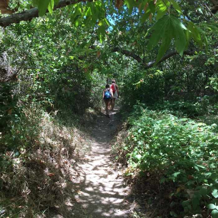 Trail to the hot springs Near Gaviota Peak Fire Road