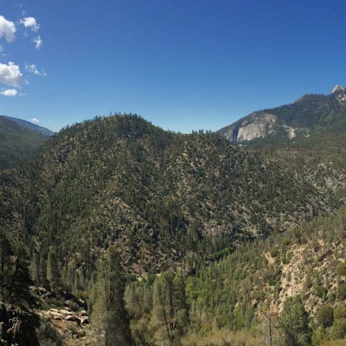 Near Forks of the Kern (33E20)