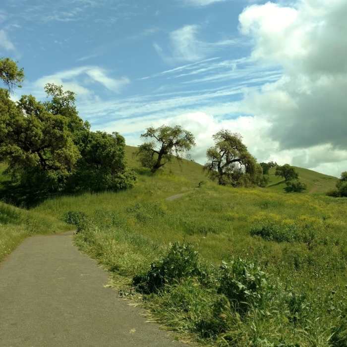 Near Willow Springs Trail