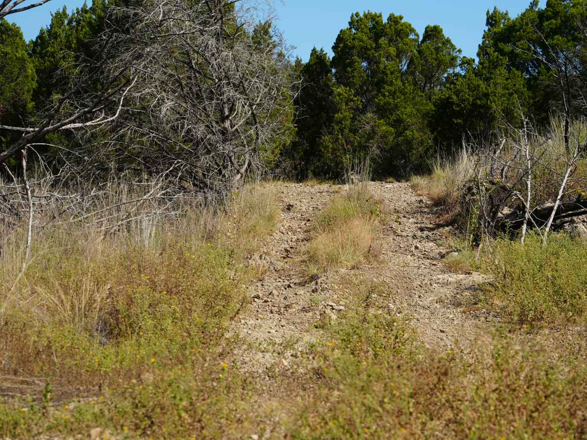 Blue 17 trail photo
