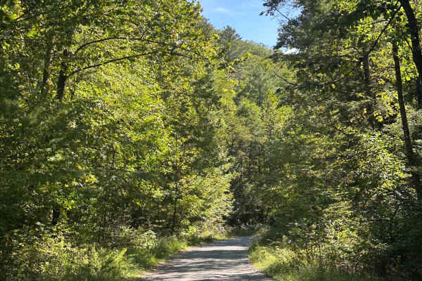 North River Road