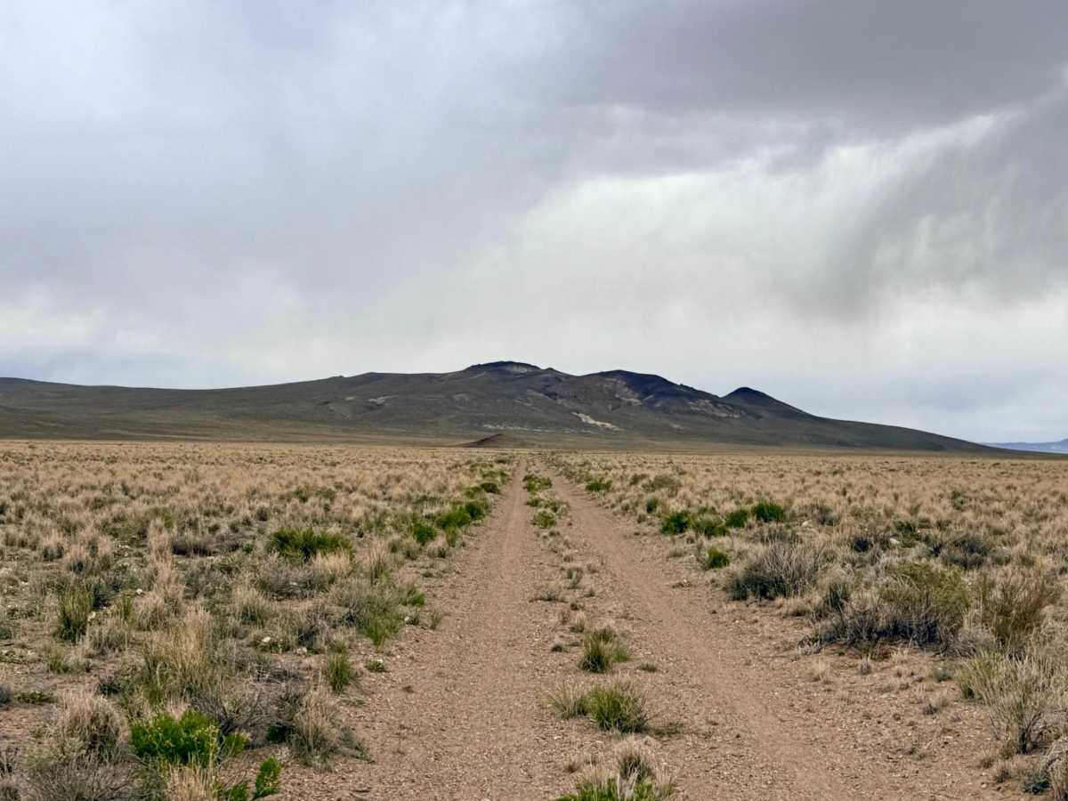Saulsbury Cutover trail photo
