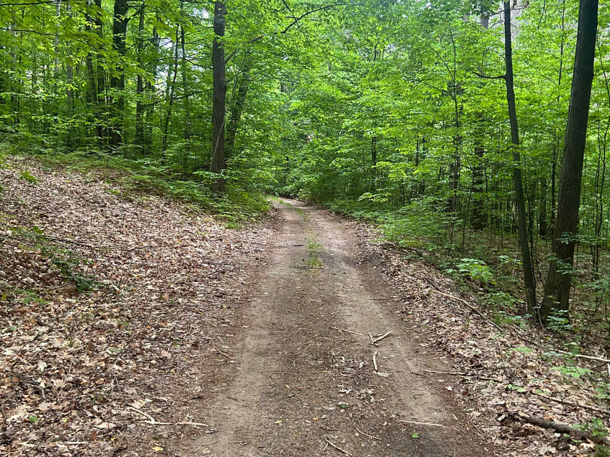 FS 5338 North trail photo