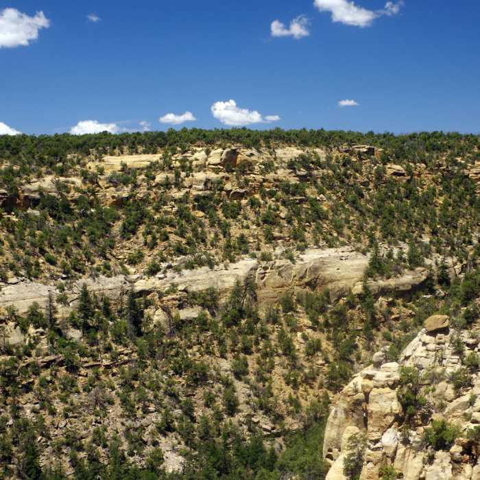 Near Petroglyph Point Trail