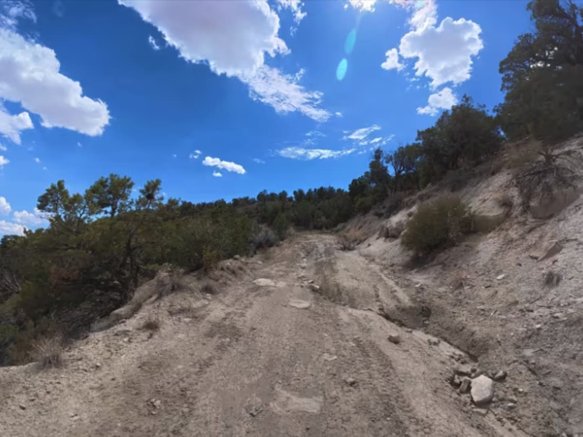 35 Road trail photo