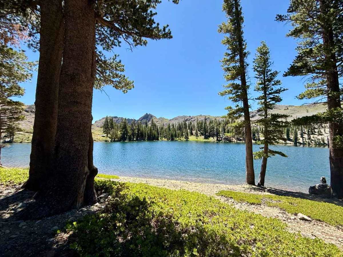 Lost Lakes Road - FS 31070 trail photo