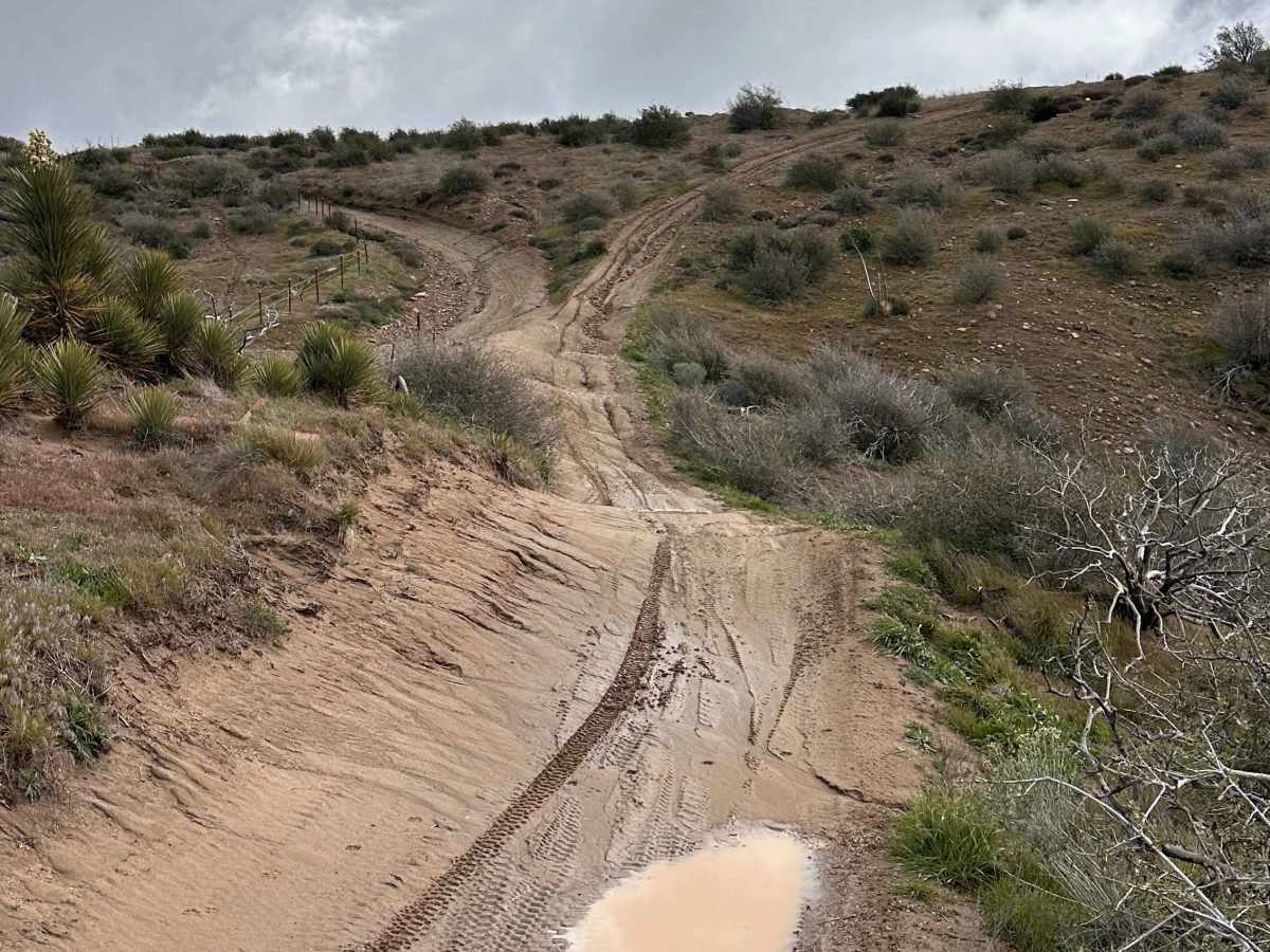 Baldy Bald Climb photo 4