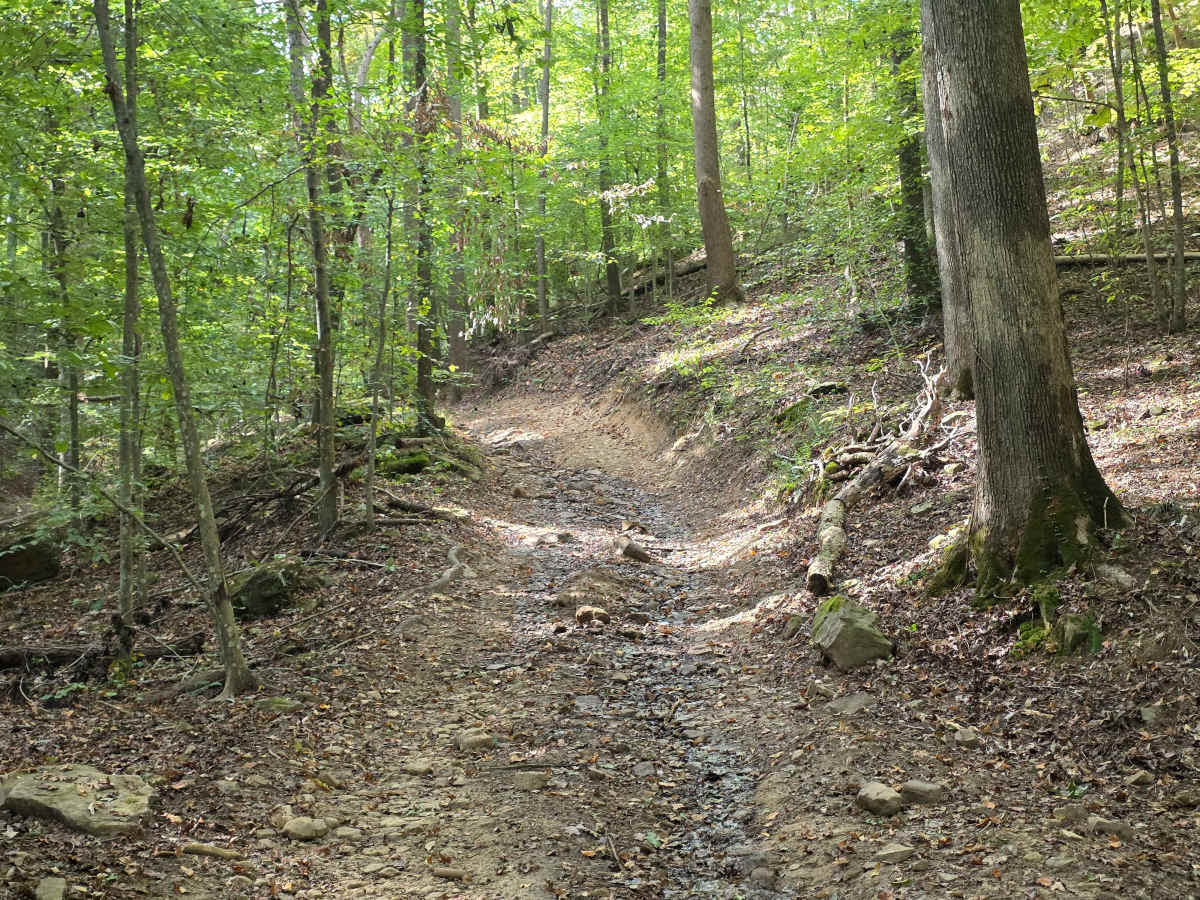 Hardwood Hollow photo 4