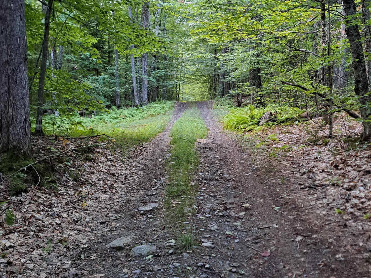 Grantham Mountain Road photo 2