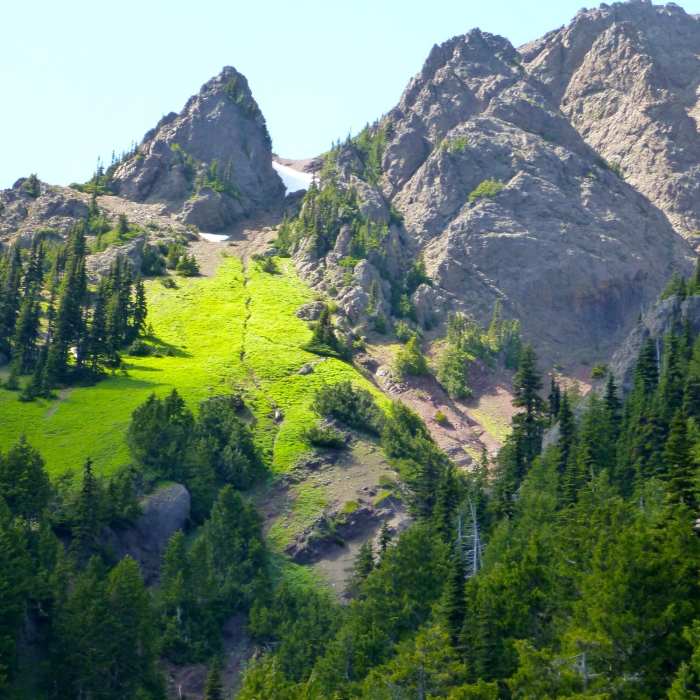 Near Klahhane Ridge Trail