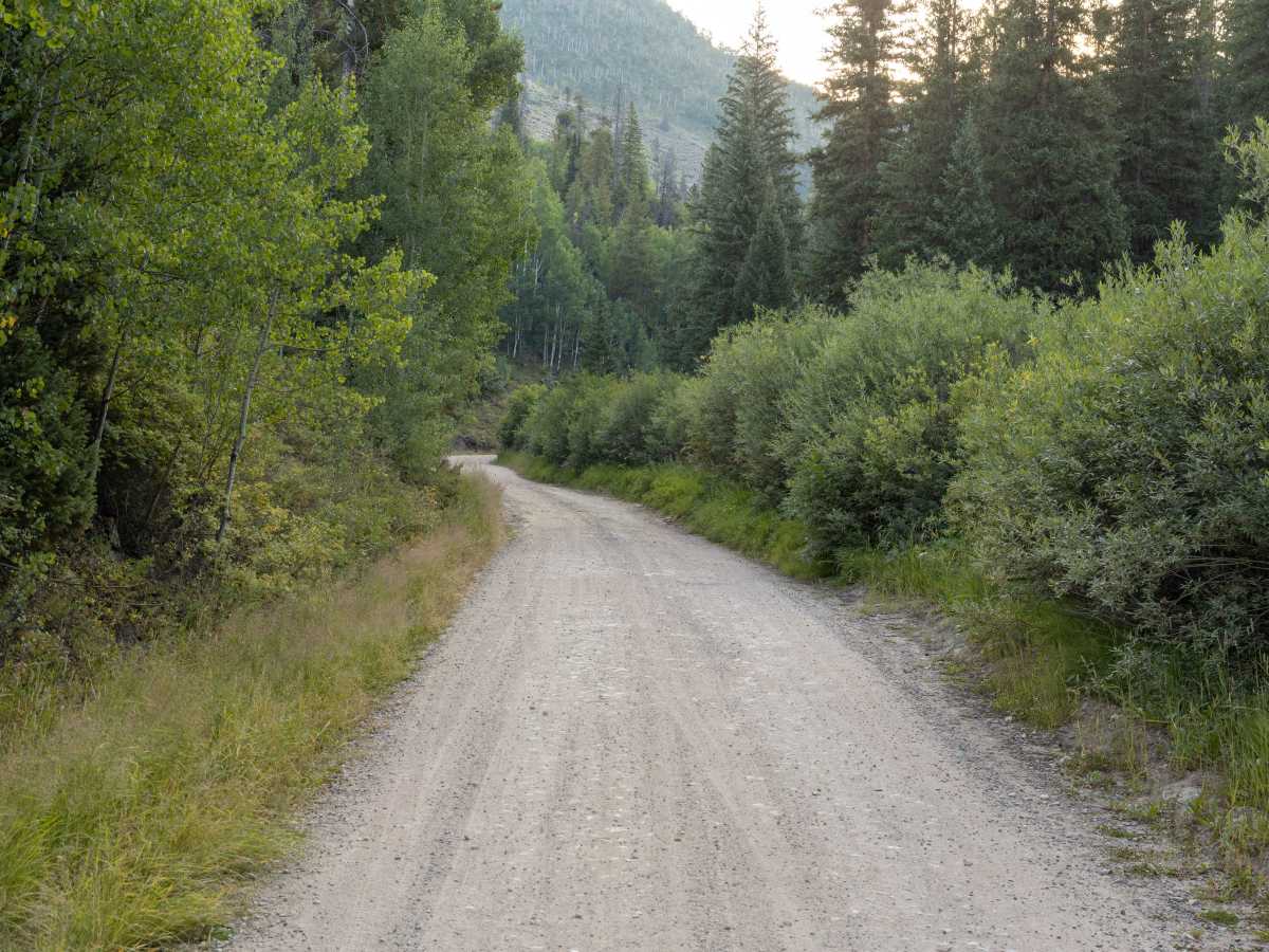 Shrine Pass photo 2