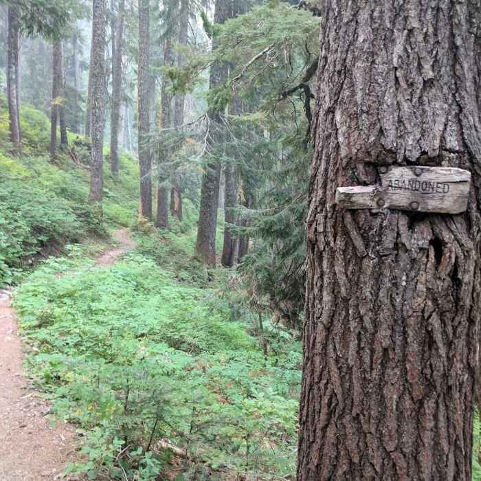 Near Commonwealth Creek to Red Pass