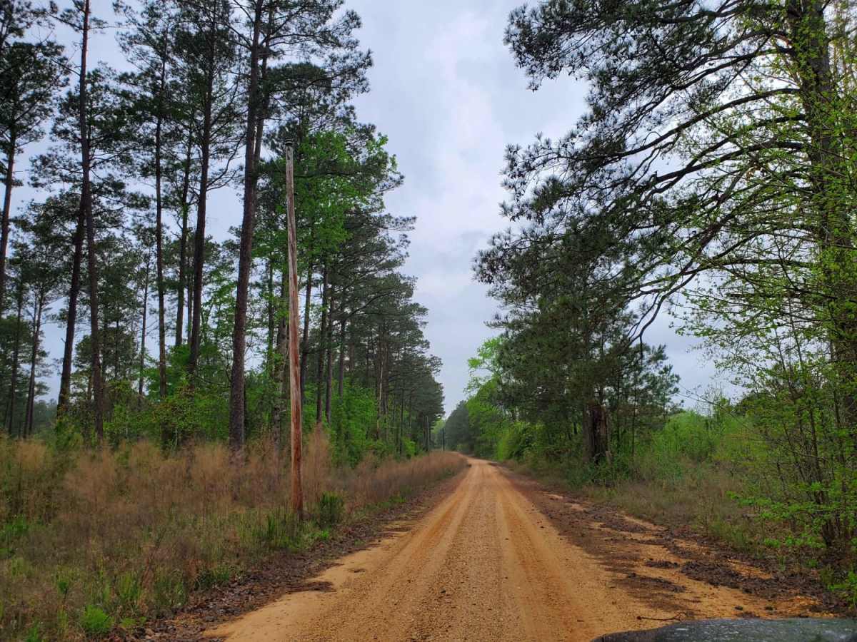 The Arkansas Overland Route - Section 6 - Highway 278 to Highway 79 photo 2
