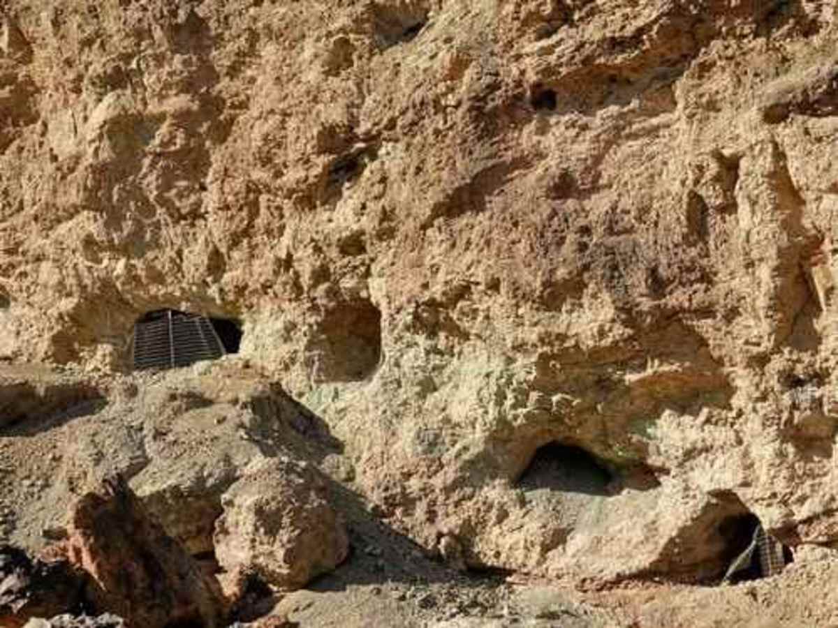 Planet Mine photo 2
