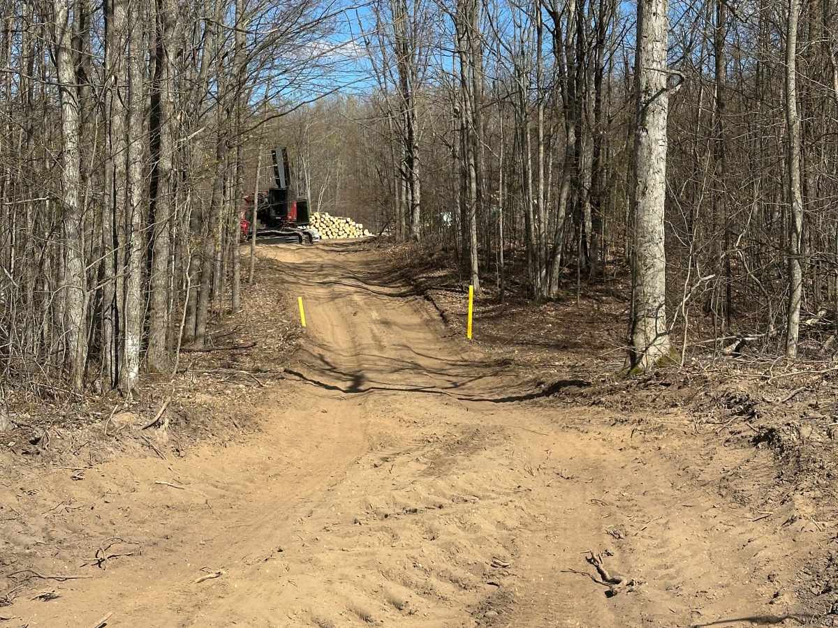 West Otsego Lake Cutover  photo 4
